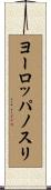 ヨーロッパノスリ Scroll