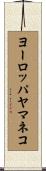 ヨーロッパヤマネコ Scroll