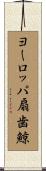 ヨーロッパ扇歯鯨 Scroll