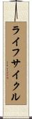 ライフサイクル Scroll