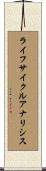 ライフサイクルアナリシス Scroll