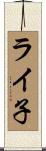 ライ子 Scroll