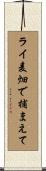 ライ麦畑で捕まえて Scroll