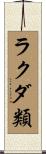 ラクダ類 Scroll