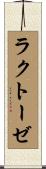 ラクトーゼ Scroll