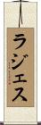 ラジェス Scroll