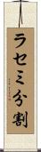 ラセミ分割 Scroll
