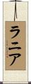 ラニア Scroll