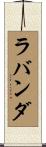ラバンダ Scroll