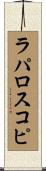 ラパロスコピ Scroll