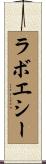 ラボエシー Scroll