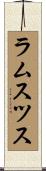 ラムスツス Scroll