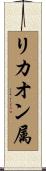 リカオン属 Scroll