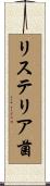 リステリア菌 Scroll