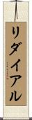 リダイアル Scroll