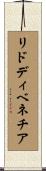 リドディベネチア Scroll