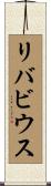 リバビウス Scroll