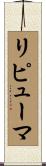 リピューマ Scroll