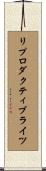 リプロダクティブライツ Scroll