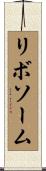 リボソーム Scroll