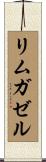 リム・ガゼル Scroll