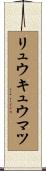 リュウキュウマツ Scroll