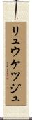 リュウケツジュ Scroll