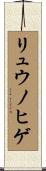 リュウノヒゲ Scroll