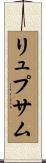 リュプサム Scroll