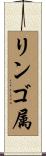リンゴ属 Scroll
