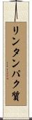 リンタンパク質 Scroll