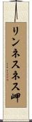 リンネスネス岬 Scroll