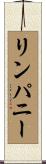 リンパニー Scroll