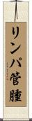 リンパ管腫 Scroll