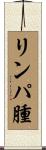 リンパ腫 Scroll