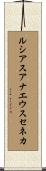 ルシアスアナエウスセネカ Scroll