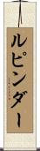 Rupinder Scroll