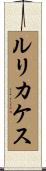 ルリカケス Scroll