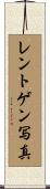レントゲン写真 Scroll