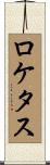 ロケタス Scroll