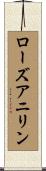 ローズアニリン Scroll