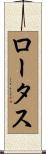 ロータス Scroll