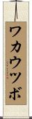 ワカウツボ Scroll