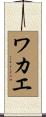 ワカエ Scroll