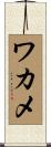 ワカメ Scroll
