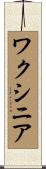 ワクシニア Scroll