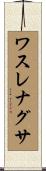 ワスレナグサ Scroll