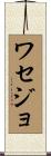 ワセジョ Scroll