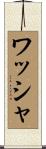 ワッシャ Scroll