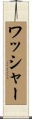 ワッシャー Scroll